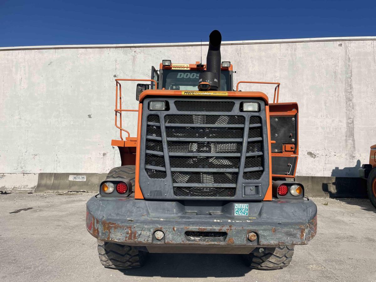 2019 Doosan DL300-5