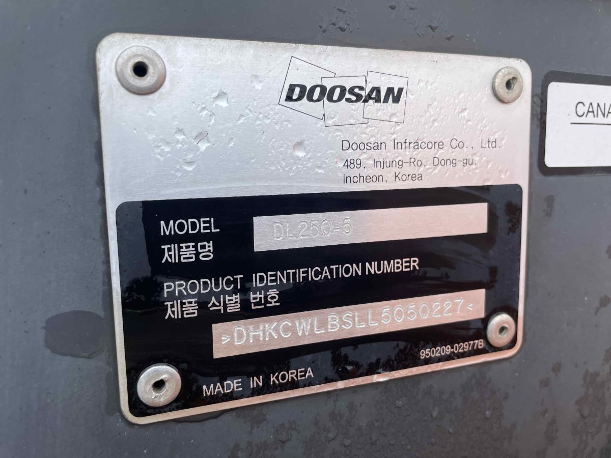 2019 Doosan DL250-5