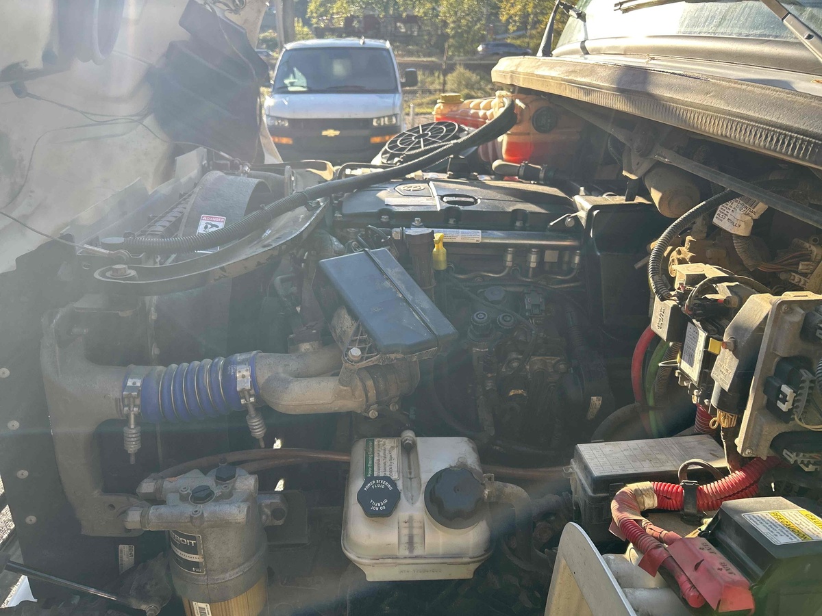 2019 Freightliner M2106-11