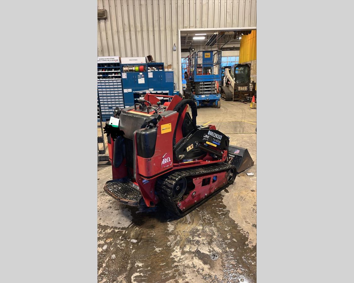 2018 Toro Dingo TX 1000