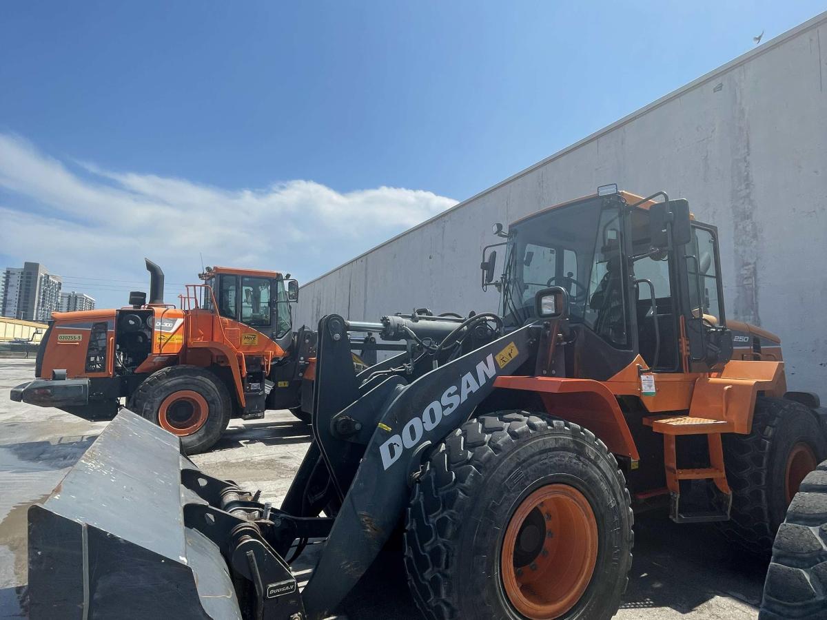 2019 Doosan DL250-5