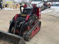 2020 Toro Dingo TX 1000