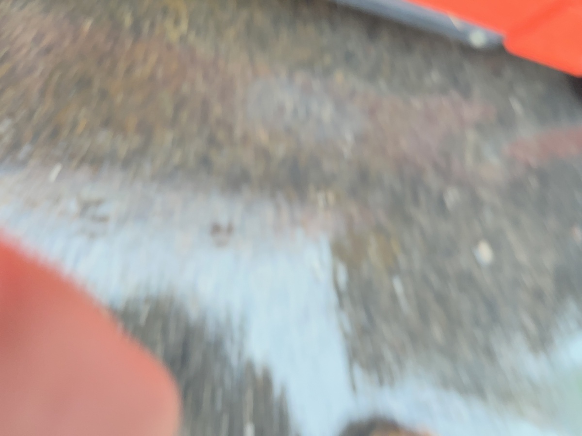 2022 Sinoboom 0407SE (1330SE)-6